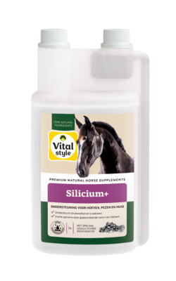 VITALstyle Silicium+ Pferd 1L