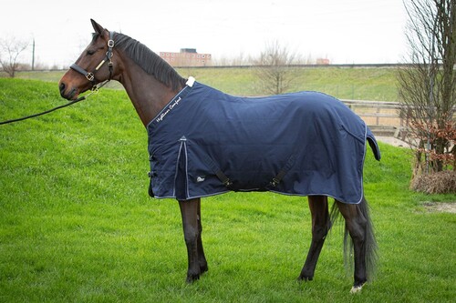 Harry's Horse Stalldecke Highliner Boa