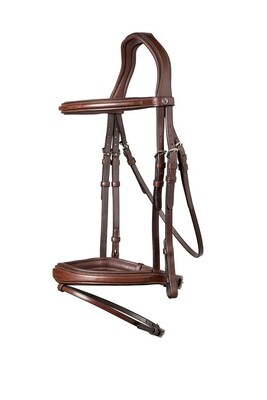 Trust Trense Amsterdam anatomic
