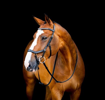 Horseware Micklem 2 Diamante Competition Trense