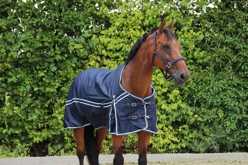 DKR Sports Regendecke Turnout 50 gram