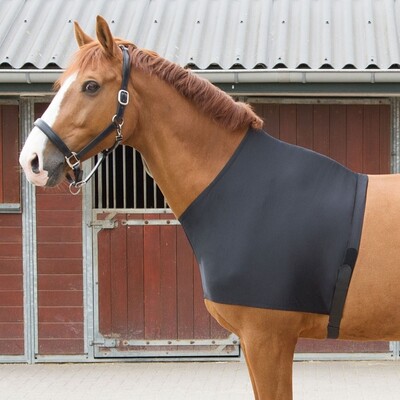 Harry's Horse Brustdecke Elastic