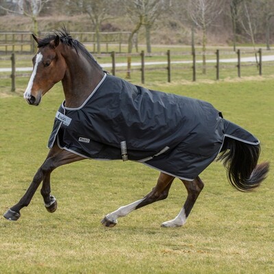 Bucas Anniversary Turnout 150gr Stay-Dry Winterdecke