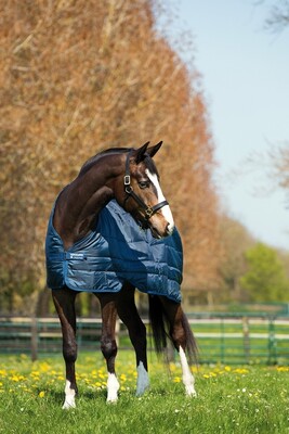 Horseware Liner 100grs