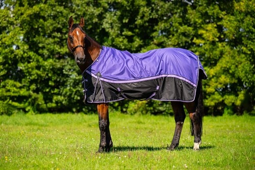 DKR Sports Regen decke Luxe mit fleece lining