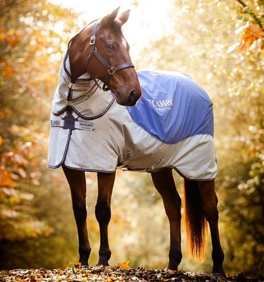 Horseware Rambo Autumn Series Regendecke