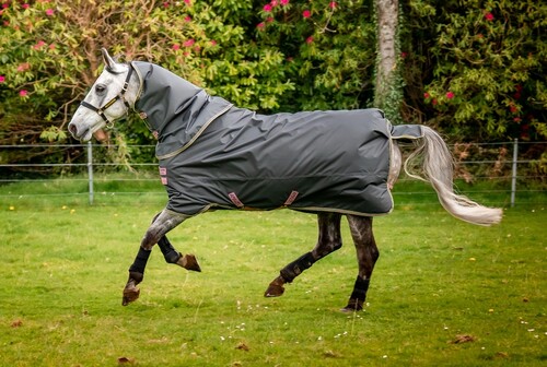 Horseware Amigo Hero Ripstop Plus Lite 0g Regendecke