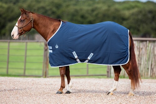 Amigo Stable Sheet 0grs Sommerdecke