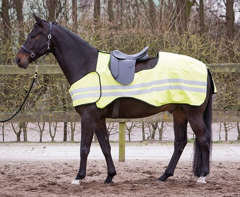 Harry's Horse Ausreitdecke Reflective