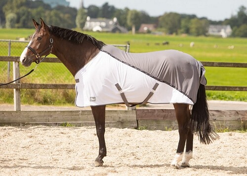 Harry's Horse Fliegen- und Coolerdecke Mesh Pro