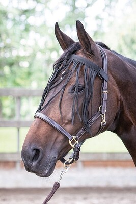 Harry's Horse Fliegenaugenschutzband