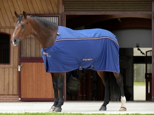 Bucas Recuptex Therapy Rug Big Neck