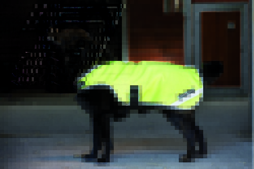 Horseware Rambo fluoreszierfende Hundedecke