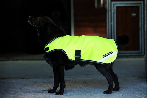 Horseware Rambo fluoreszierfende Hundedecke