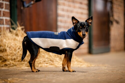 Horseware Signature Hundedecke Fleece