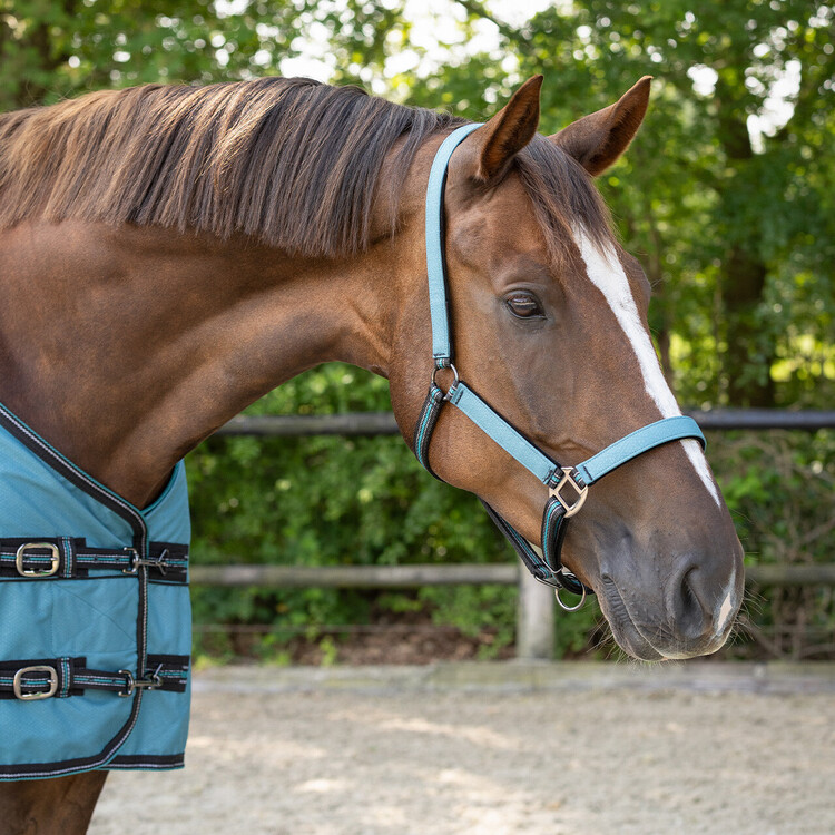 QHP Halsterset Turnout collection