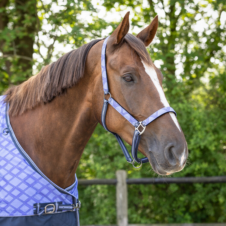 QHP Halsterset Turnout collection