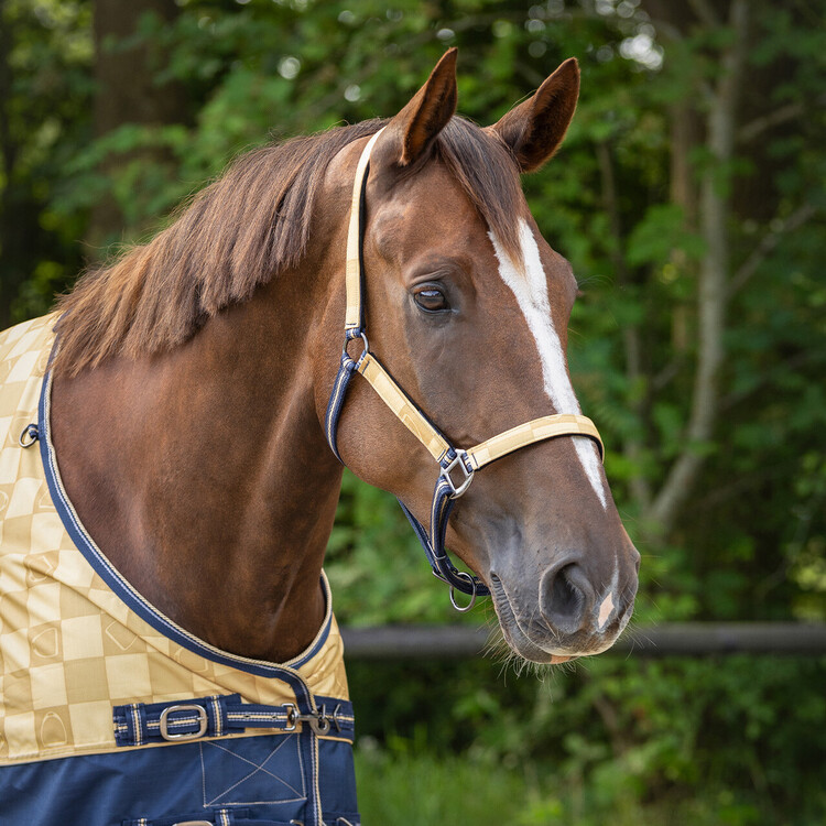 QHP Halsterset Turnout collection