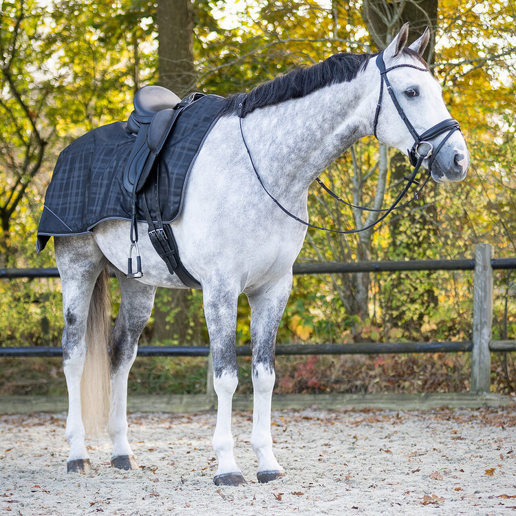QHP Uitrijdeken 1200D turnout collection waterproof