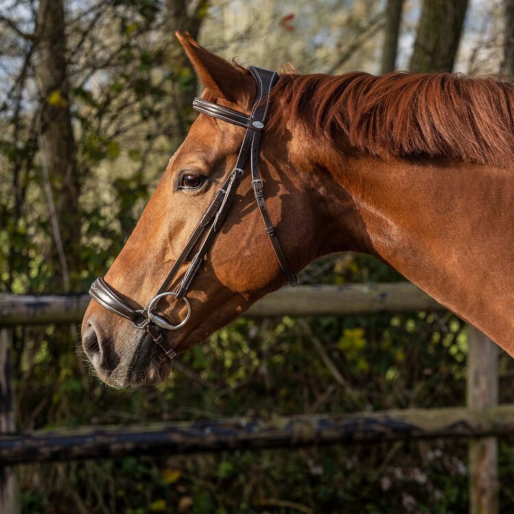 QHP Hoofdstel Luxe lage neusriem