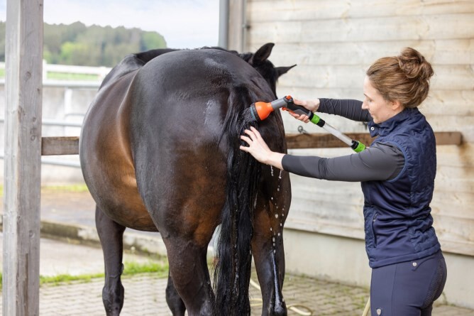 Magic Brush Paarden zoutdouche starterset