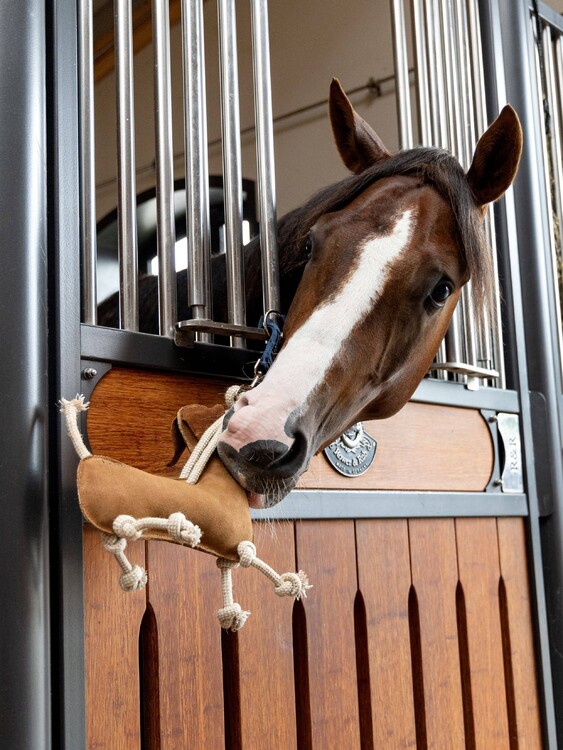 LeMieux Paardenspeelgoed Teckel 