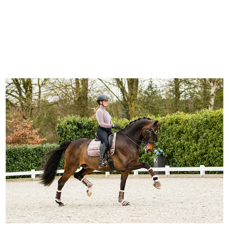 Anky Pad Jubilee Dressage
