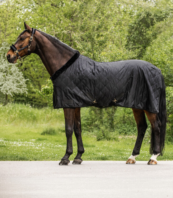 Waldhausen Halster Exclusive