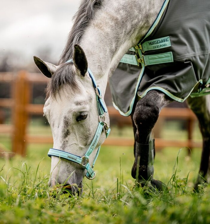 Horseware Field Safe veiligheidshalster