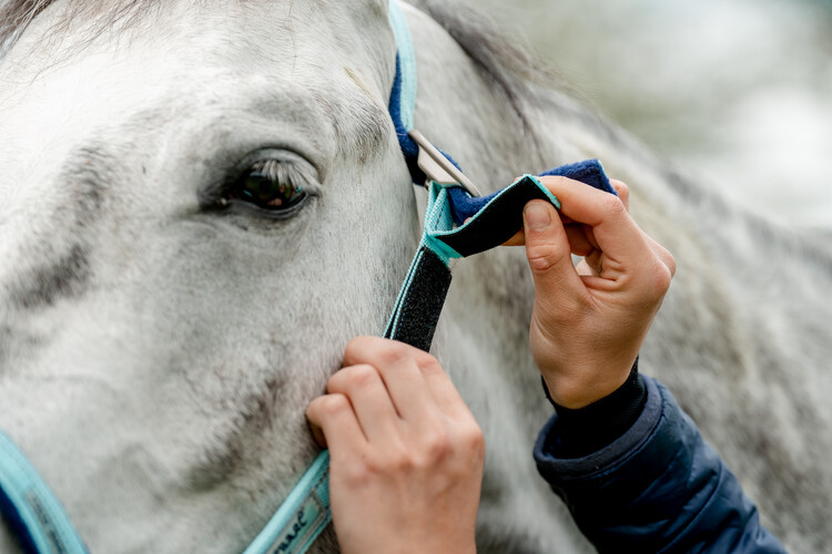 Horseware Field Safe veiligheidshalster