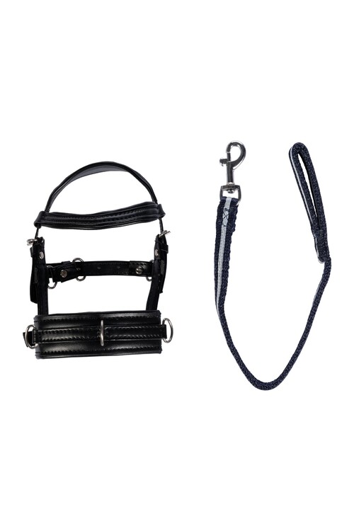 HKM Longeerset Cuddle Pony