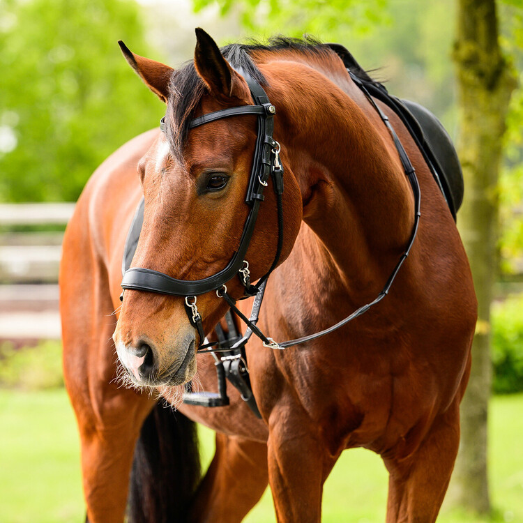 PresTeq Bitloos hoofdstel FaySport