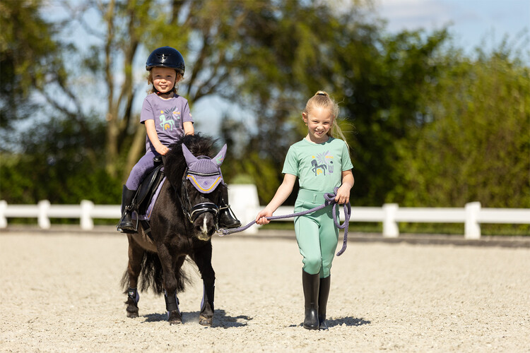 BR Mini Horse oornetje
