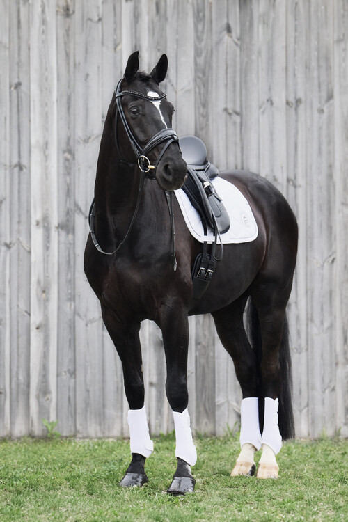 Eskadron Zadeldek Softshell Emblem