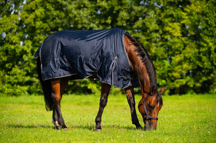 DKR Sports Regendeken Luxe 0grs