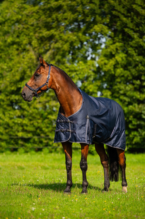 DKR Sports Regendeken Luxe met fleece