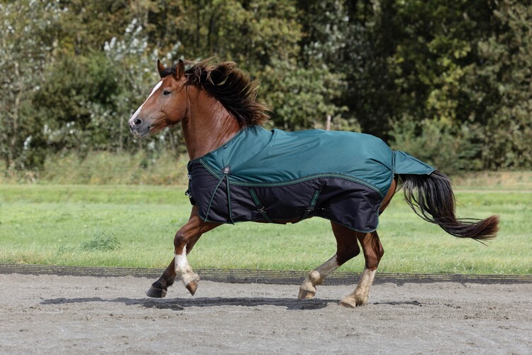 DKR Sports Regendeken Big Neck met fleece