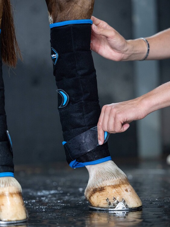 LeMieux Freeze Flow Ice Boot Achterbeen