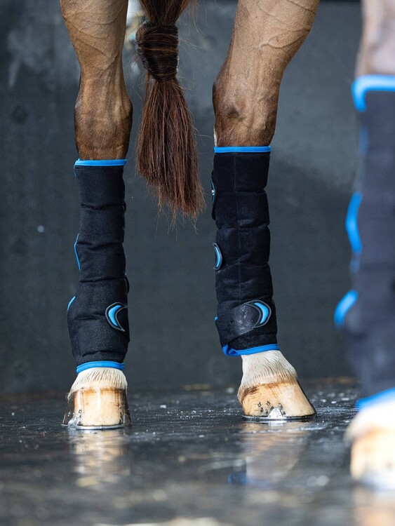 LeMieux Freeze Flow Ice Boot Achterbeen