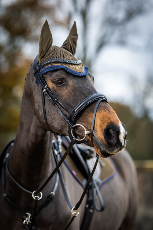 LeMieux Classic Oornetje 