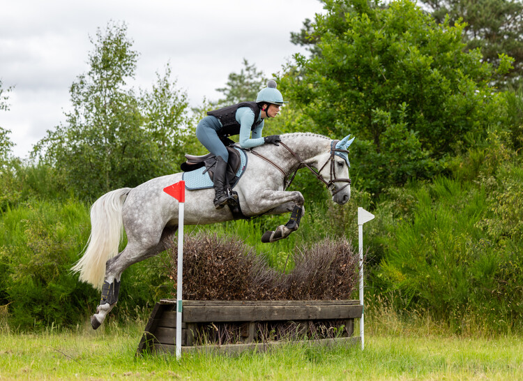 LeMieux Classic Oornetje 