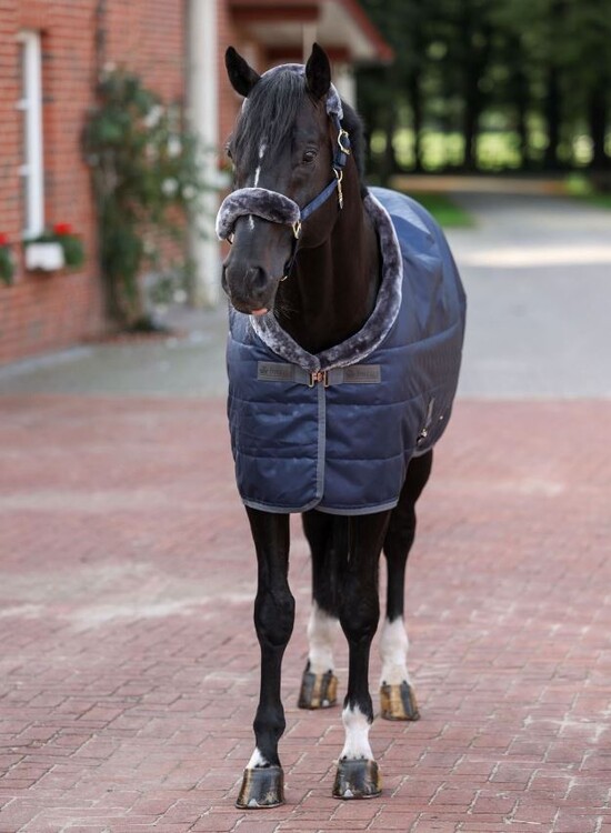 Bucas Show-Line Staldeken 150 Silkfeel