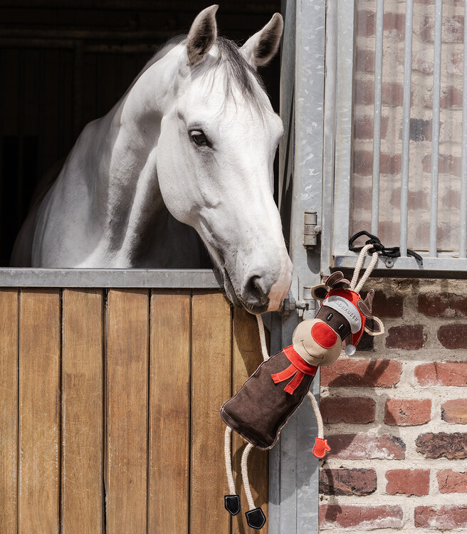 Waldhausen Paardenspeelgoed Rendier Rudi