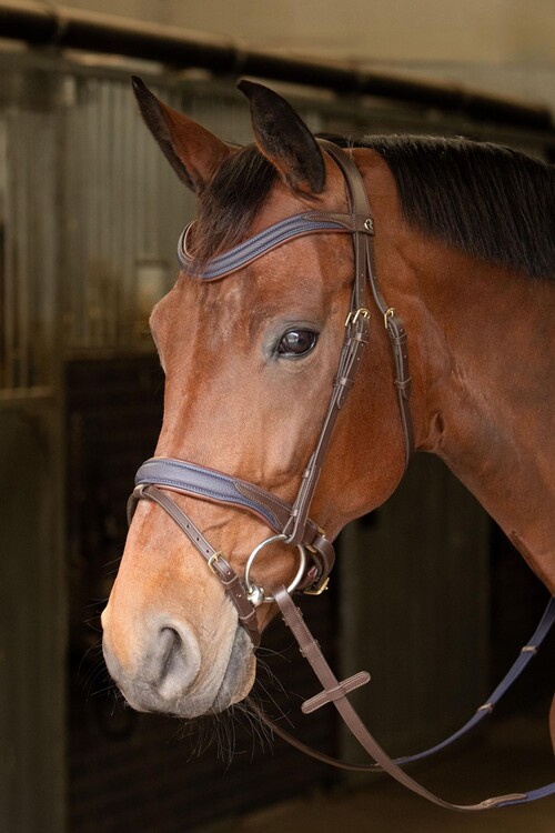Harry's Horse Hoofdstel Havanna Navy