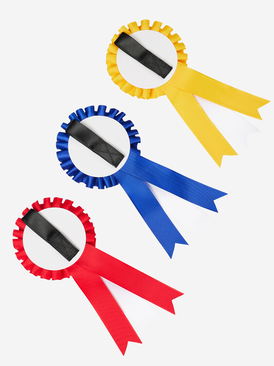 LeMieux Hobby Horse Roset Pakket 
