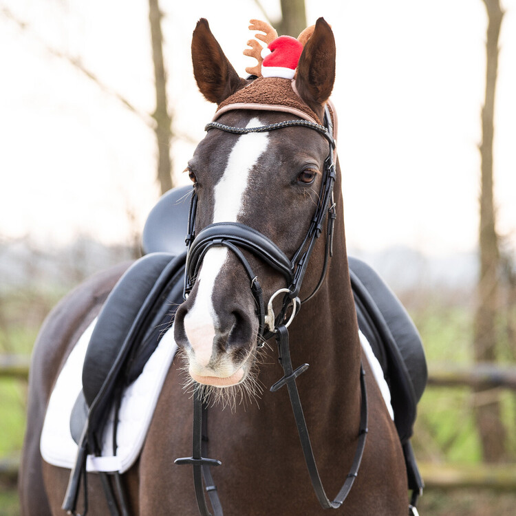 QHP Kerstmuts paard met gewei