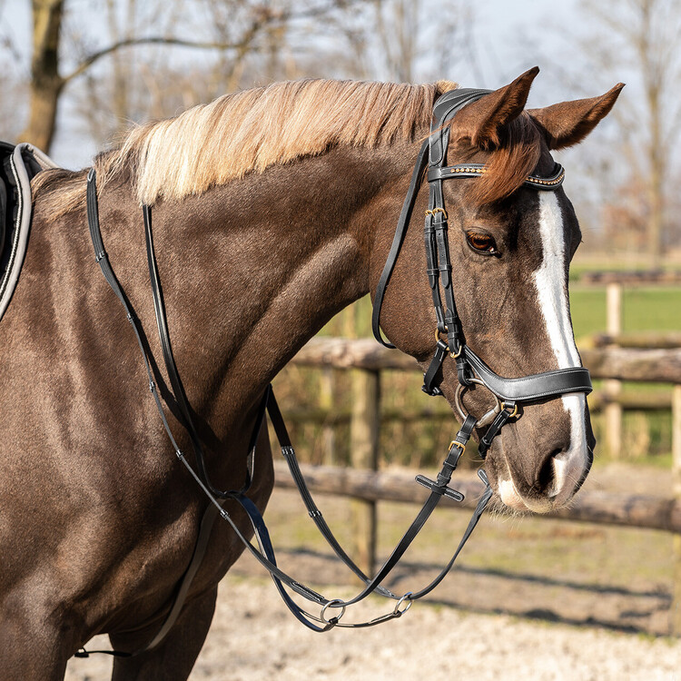 QHP Martingale Basic Pro