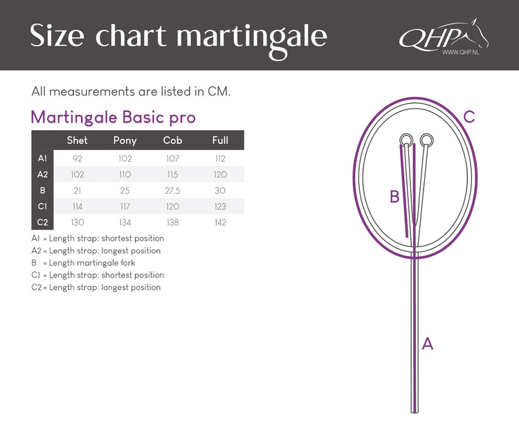 QHP Martingale Basic Pro