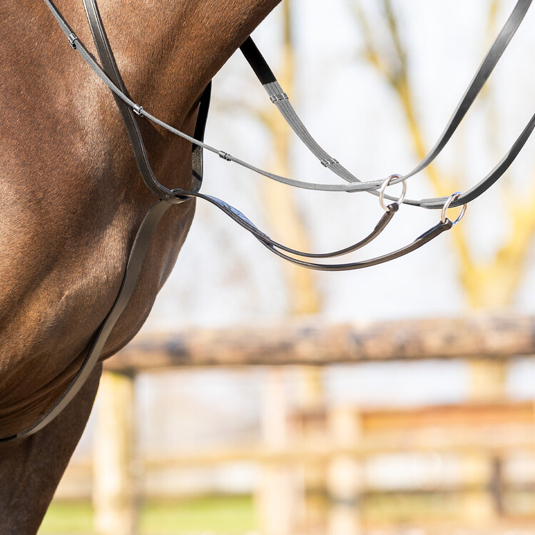 QHP Martingale Basic Pro