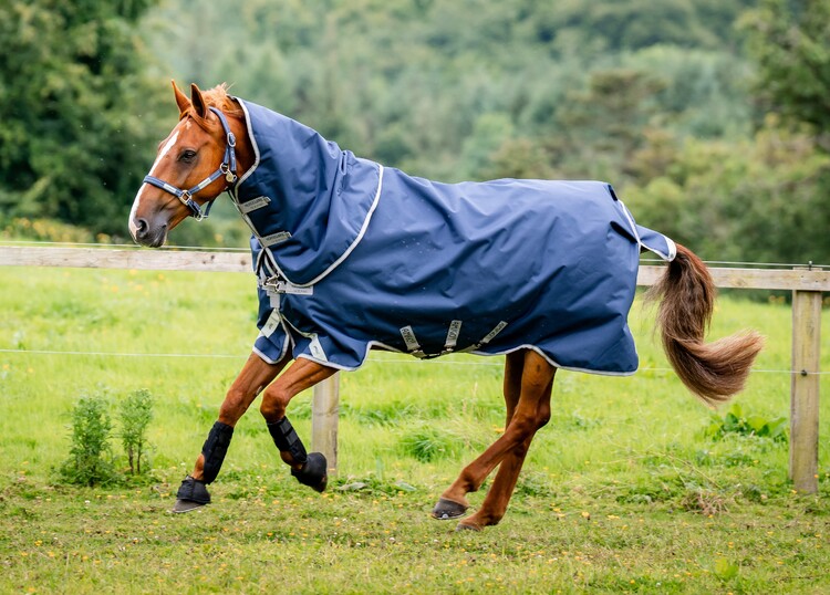 Horseware Amigo Bravo 12 Plus Lite 0gr regendeken